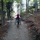 IMG 3342