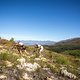 Christoph Sauser und Nino Schurter  - Foto von Nick Muzik-Cape Epic-SPORTZPICS