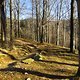 IMG 7321