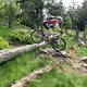 Altkönig Trail