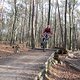 IMG 1563