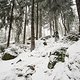 Zittauer Gebirge - Weißer Stein