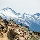 &quot;Top of the World&quot; ist wohl die ikonischste Stage der EWS. Wahnsinns-Aussicht, Mega-Trail und schmerzhafte 25 Minuten lang