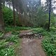 Wander und E-Bike Trail bei Wildemann