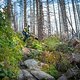 20240915-23 Harz