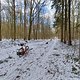 Winterpokal-Aktivität