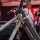 Sea Otter Classic Tag1-172