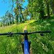 Hometrail Vibes