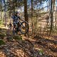 20250309-03 Sneznik