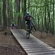 IMG 9912