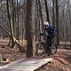 Bike Beerfelden P 217