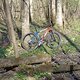 P29er