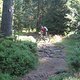 0011 Harz-Trail