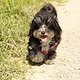 Fotospaziergang 06-06-2014 Tina -5723