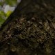 20160521-IMG 5977