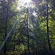 Birklergrund (4)