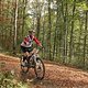 MTB Marathon Albgold Trophy