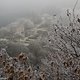 Der Nationalpark Hunsrück-Hochwald bietet noch viele schöne Flecken wie die Schmidtburg ...