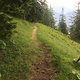 IMG 6506