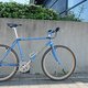 Rock Lobster-2023-05 (30)