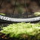 Wir hatten zwei Carbon-Laufradsätze im Test