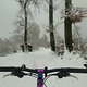 Winterpokal-Aktivität