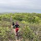 IMG 7949