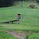 IMG 9650