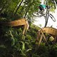 Vorbildlich: Spaßiger, doch ungefährlicher Holz-Stunt im Evil-Eye-Trail am Geisskopf. Spaß für 90 Prozent der Parkbesucher - Foto von Colin Stewart