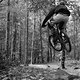 IMG 7201