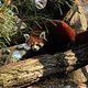IMG 0208