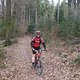 DSCF3176