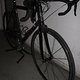 IMG 1291