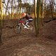 Prinzenpark 21