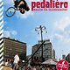 pedaliero Cover 13