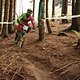 IMG 3915