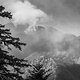  DSC7503-2