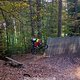 IMG 2395