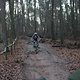 IMG 1234