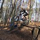 IMG 1688