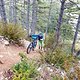 TransVerdon2016 (217)