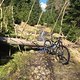 IMG 1027