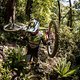 NZ RockShox DebonAir2018 GG4A4965