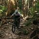 Norco Fluid FS Riding Select 02