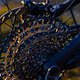 Canyon Spectral 2024 Details PSturm-16