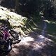 Walkingstrecke