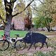 Gravel ride