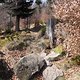 SDC19967 kl