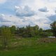 IMG 6653