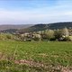 Piesport -&gt; Klausen